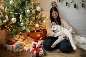 Los ATV y el cuidado de las mascotas en Navidad Noticias de Apache Innovación