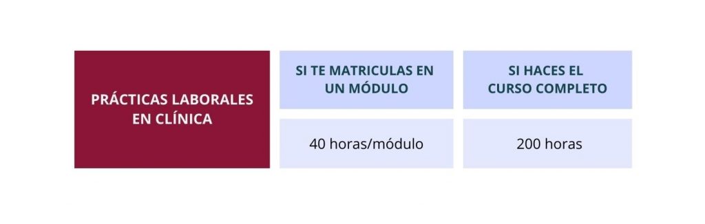 Curso de Auxiliar Técnico Veterinario en Apache Innovación Zaragoza prácticas en clínicas