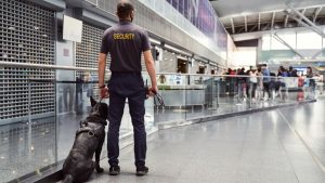 Instrucción canina en operaciones de seguridad y protección civil