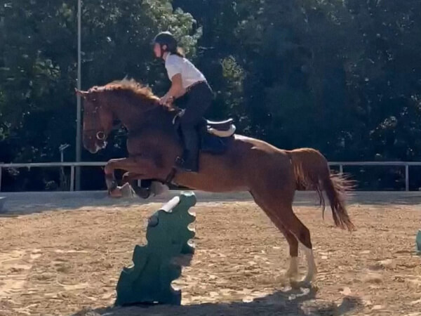 Apache Innovación Erasmus+ Italia Ciclo Inicial de Grado Medio de Técnico Deportivo en Disciplinas Hípicas