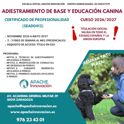 Extraescolares 2025